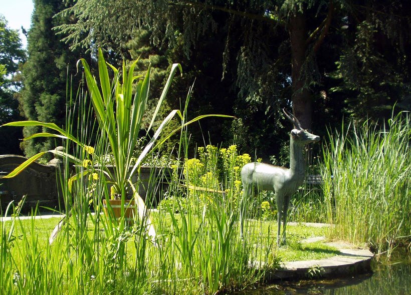 Giessen Botanical Garden, Giessen, Germany, Germany